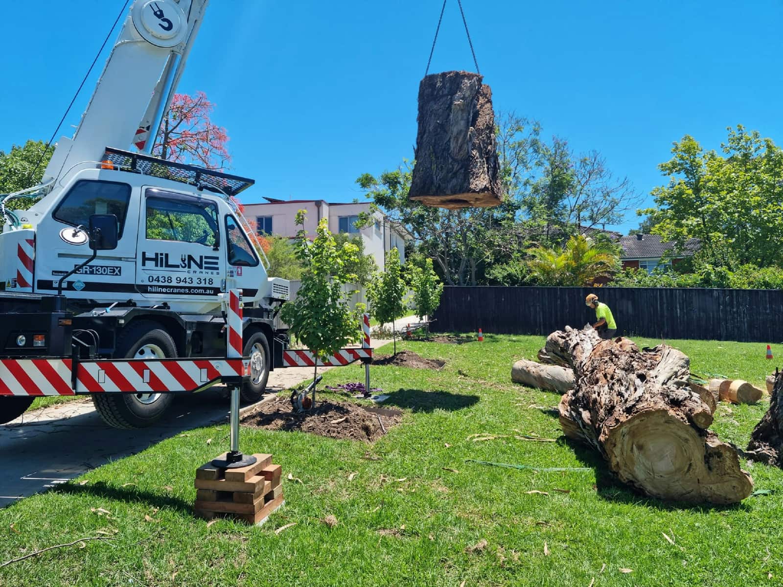 Completed tree care project by Advanced Tree Care